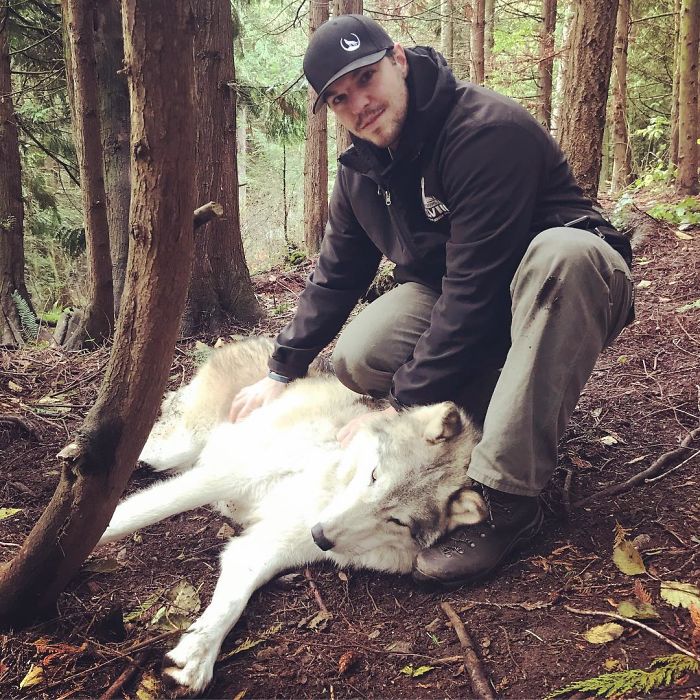 wolves-sanctuary-predators-of-the-heart-5e4cf3b291c9e__700-1